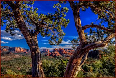 Sedona Red Rock Country