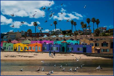 CAPITOLA COVE