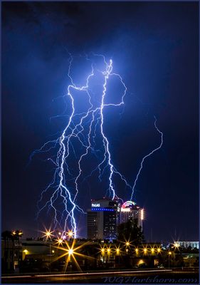 Las Vegas Lightning