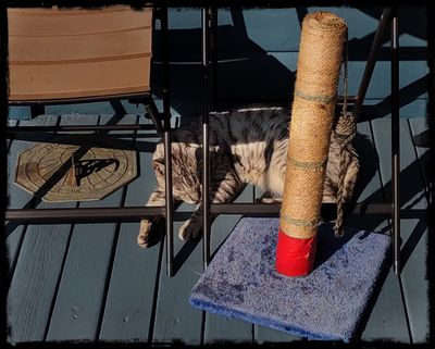 Siesta Time
