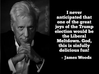 Let The Meltdown Begin