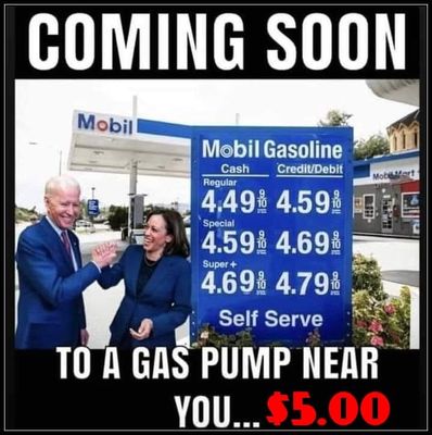 Total Stupidity