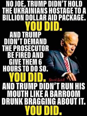 YOU DID HIDENBIDEN