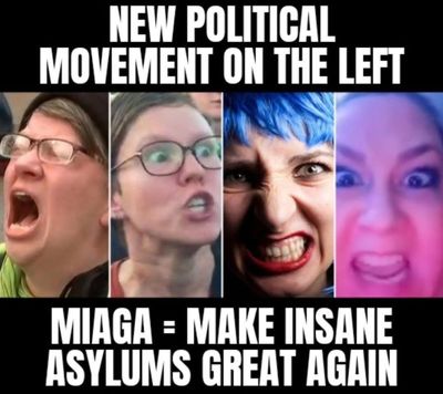 They're Going Haywire 🤣