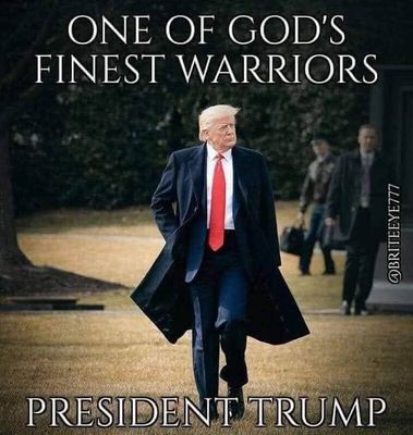 Fearless Leader 🇺🇸