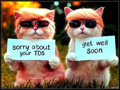 TDS Idiotics 😺