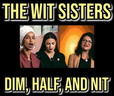 DimWitSnits🤮