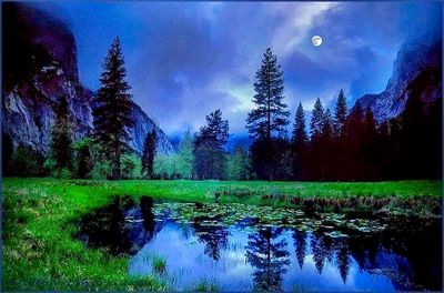 YOSEMITE LIGHT