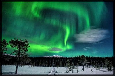 AURORA BOREALIS YUKON