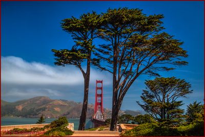 SCENIC WONDERS