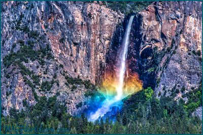 YOSEMITE LIGHT