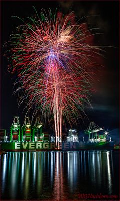 FIREWORKS INFATUATIONS
