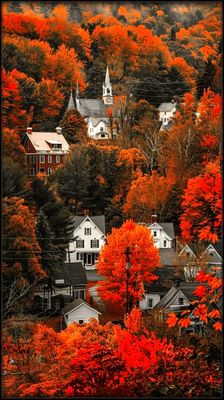 AUTUMN WITH HART