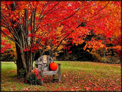 AUTUMN WITH HART