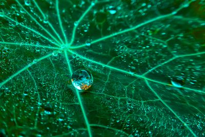 Droplets