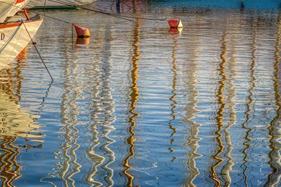 Reflections