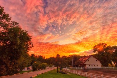 Photo a Day Gallery