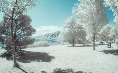 Infrared (IR) Photography