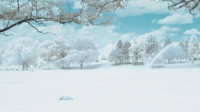 Infrared (IR) Photography