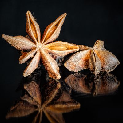 Still Life Photography