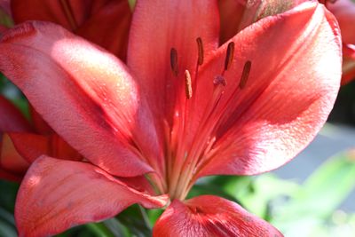 g13/51/8159051/3/175667493.79ff5f58.JPEG