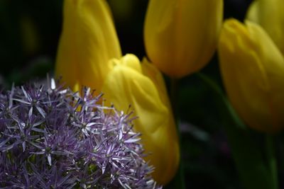 g13/51/8159051/3/175667505.cc059769.JPEG