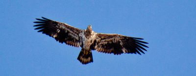 _MG_5373_edited-1.jpg