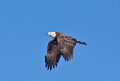 _MG_5387_edited-1.jpg