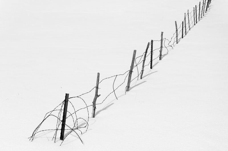 Fence in Snow, Los Alamos County, NM, USA