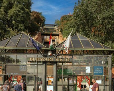 Jon at the Funicular, Budapest