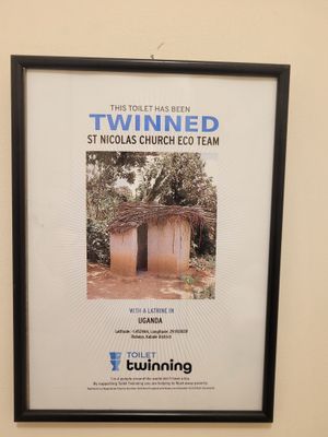 Twinned Toilets