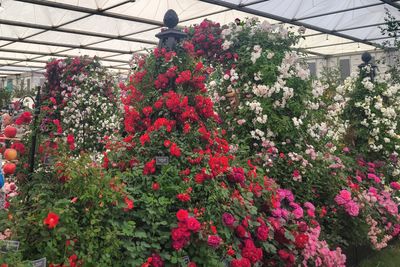 A Tower of Roses in the Grand Pavilion
