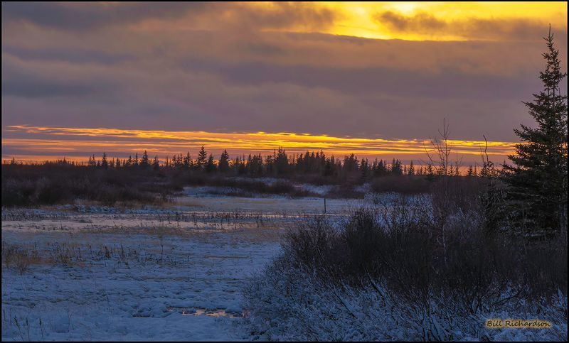 tundra sunset.jpg