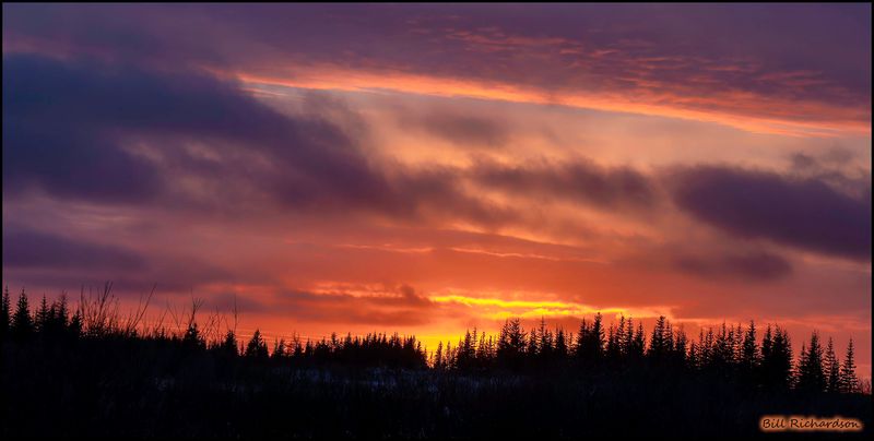 tundra sunset2.jpg