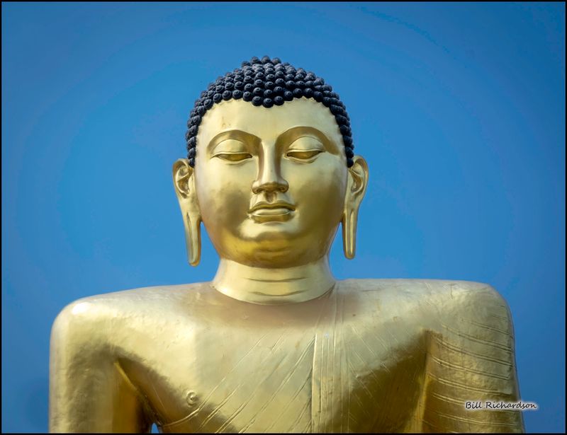 4 Buddha head.jpg