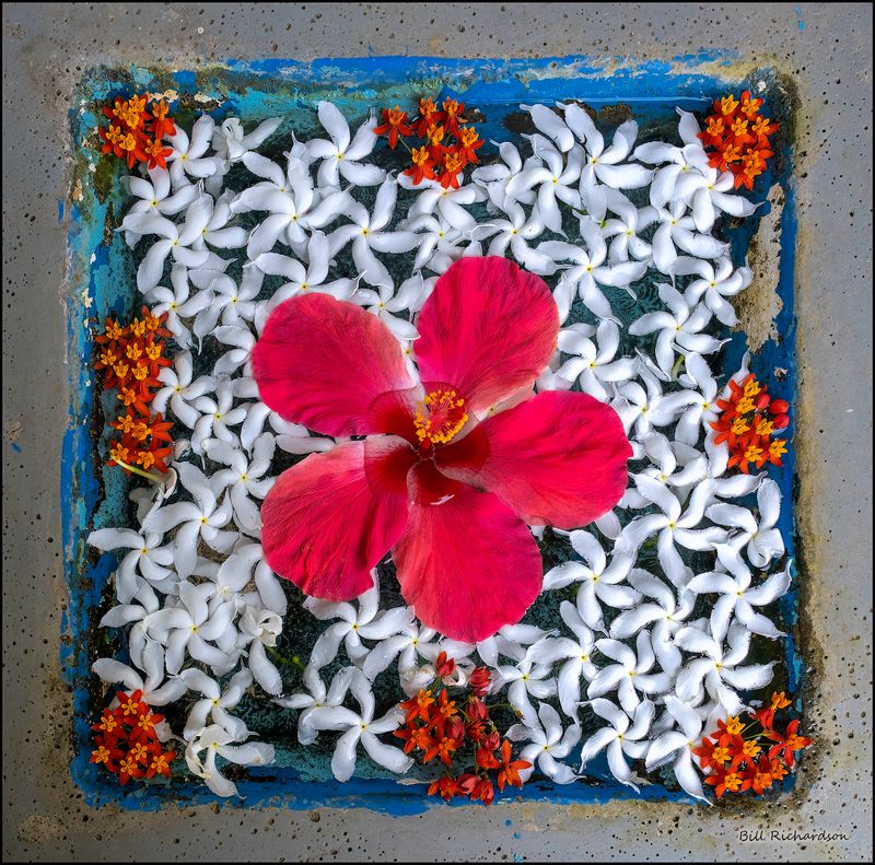 water pot w flowers.jpg