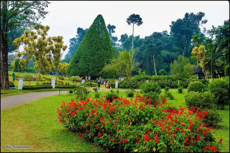 botanical garden landscape.jpg