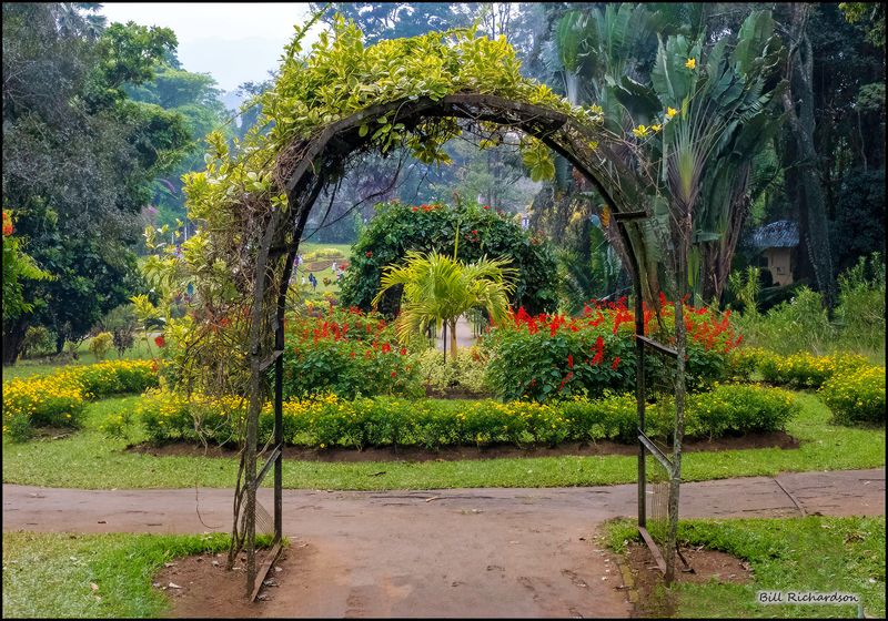 botanical garden trellis.jpg