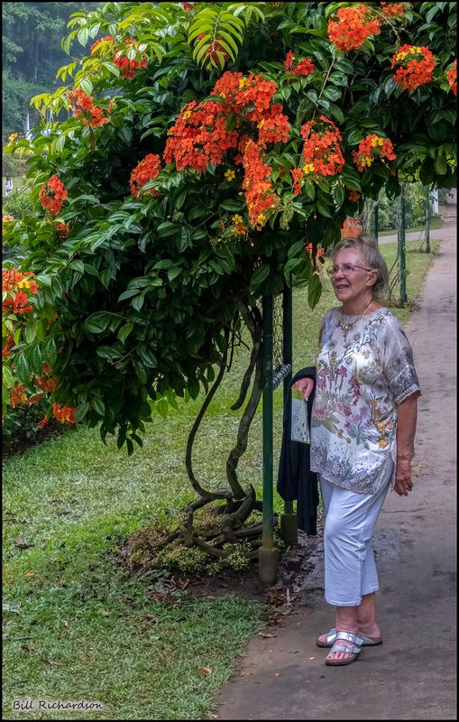 botanical garden karen.jpg