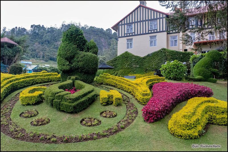 colonial hotel garden.jpg