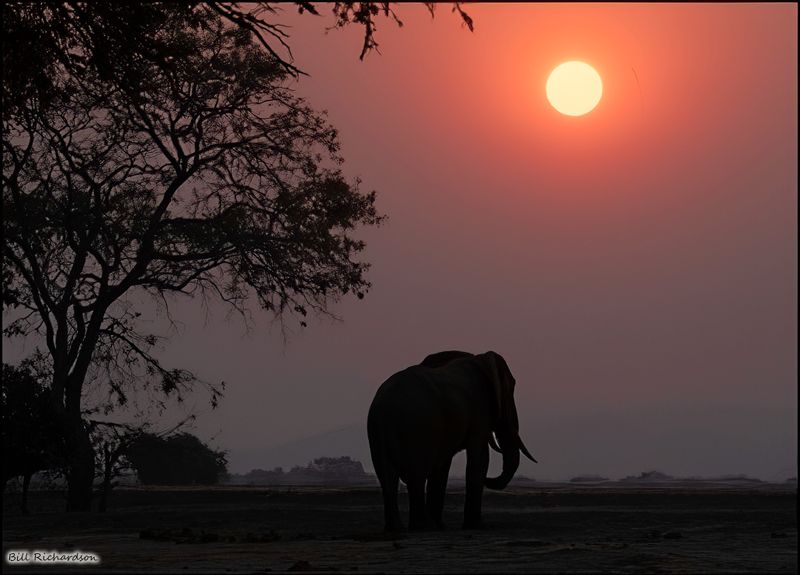 sundowner sunset.jpg