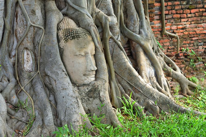 Thailand, Ayutthaya, Wat Nok