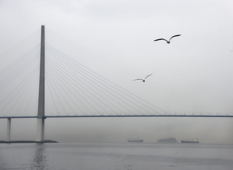 The bridge to Russky Island