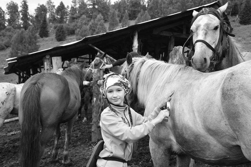 Horseback riding in Altai 2022