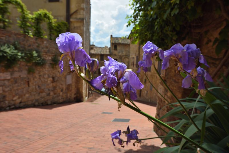 San Gimignano