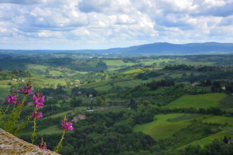 San Gimignano, view from Torre Grossa
