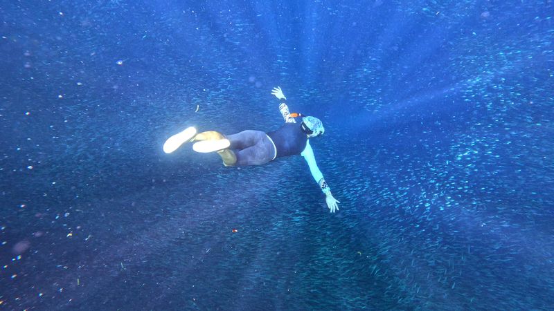 Philippines, Cebu island, Panagsama beach, sardines run