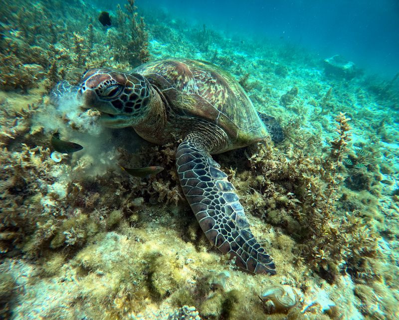 Philippines, Cebu island, Panagsama beach