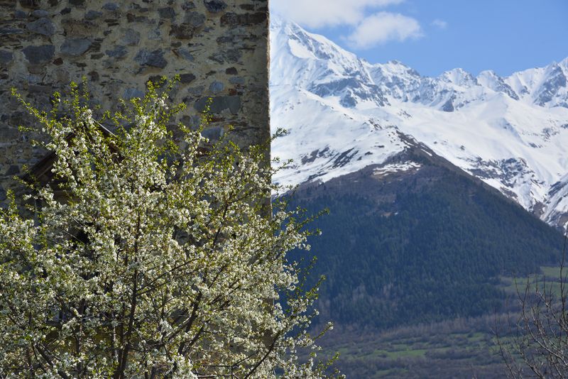 Georgia, Svaneti region, Mestia