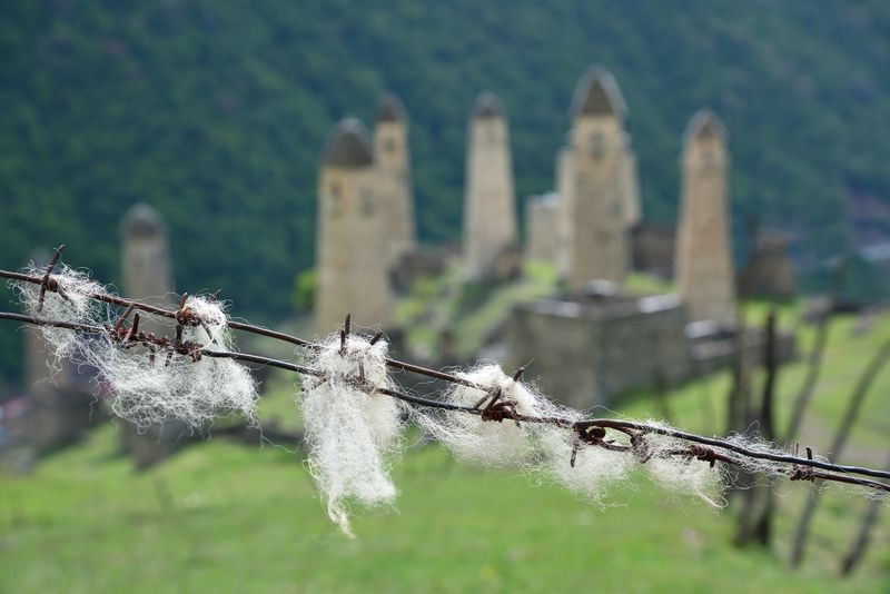 Ingushetia, Erzi village